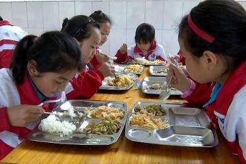 中小学生不愿吃学校营养餐怎么办